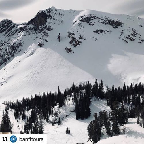 #Repost from @banfftours ・・・ “Snowmobiling up to 8000 ft in …