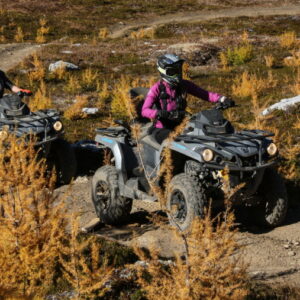 ATV riders riding amongst the larches