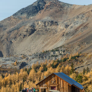Paradise Cabin with ATVs and SXS in larch season Toby Creek Adventures