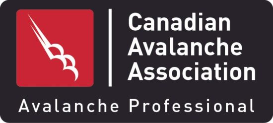 CAA Avalanche Professional Symbol